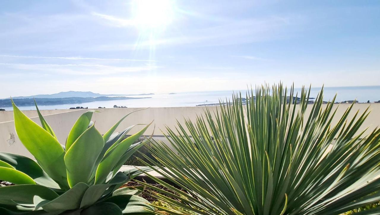 Vue Mer Panoramique - Grande Terrasse Et Piscine Bandol Ngoại thất bức ảnh